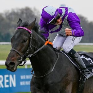 Kazakh Jockey triumphs with double trophies at Qatar Prix Tournament