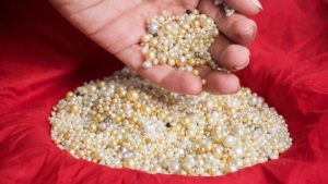 Bahrain to host first Natural Pearl Auction on Tuesday