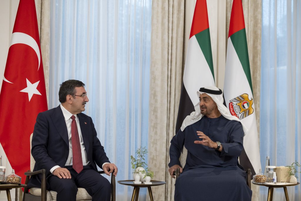 UAE President, Turkish VP discuss ways to develop cooperation