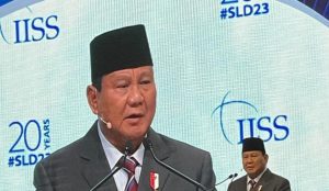 Indonesia proposes Russia-Ukraine peace plan