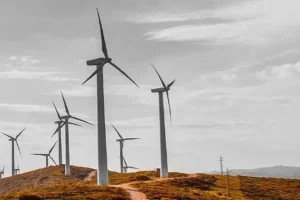 UAE, Egypt to develop Africa's biggest Wind Farm