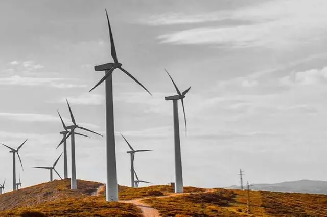 UAE, Egypt to develop Africa's biggest Wind Farm