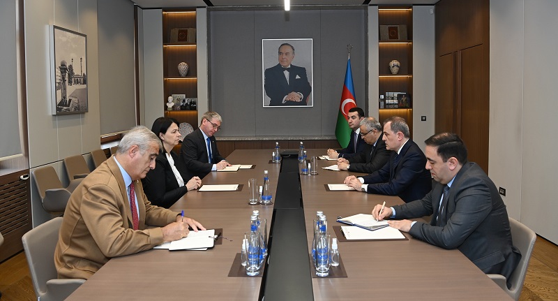 Azerbaijani FM meets with ICRC delegation head - The Gulf Observer