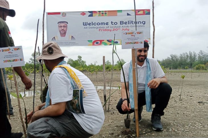UAE delegates participates in mangrove-planting activity in Belitung