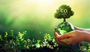 Indonesia commits to reduce emissions by 358 mln tons of CO2e