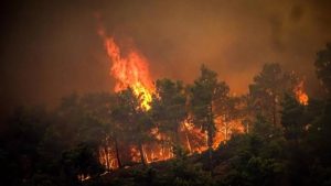 Greece races to tackle wildfires as winds set to resume