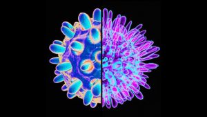 Indonesia targets to eliminate hepatitis B, C by 2030