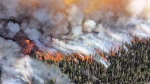 Canadian wildfire impact on Air Quality