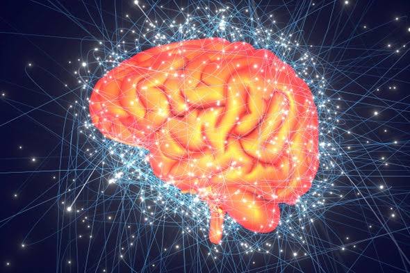 Mysterious Brain Wave that could Boost Memory, Creativity