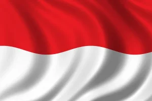Indonesia to emulate UK in public service platform integration