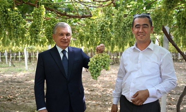 Shavkat Mirziyoyev on visit to Ferghana region