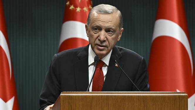 Türkiye ready to do whatever it can to help Greece fight wildfires: Erdogan