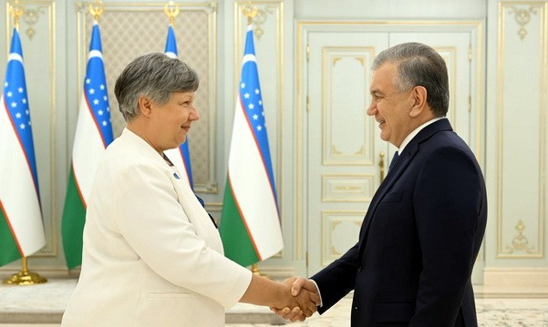 Shavkat Mirziyoyev holds meeting with head of OSCE/ODIHR mission