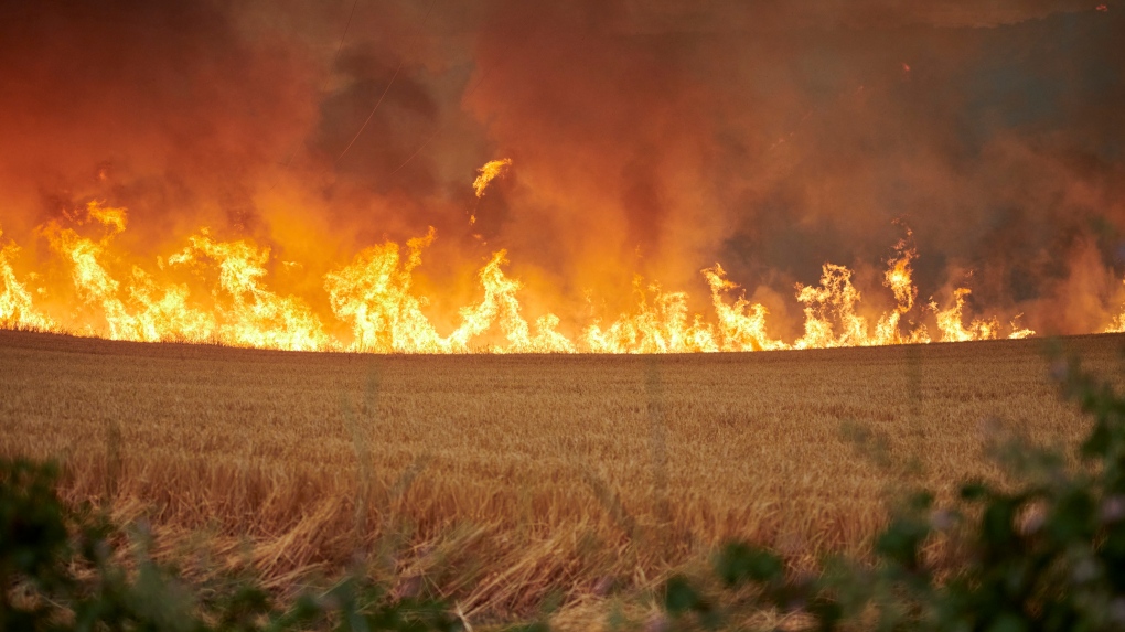 Wildfire on German military training site contaminated with ammunition