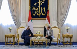 UAE and Egyptian Presidents discuss brotherly relations