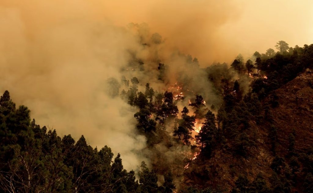 Thousands evacuated as wildfire on Spain's Tenerife island spreads