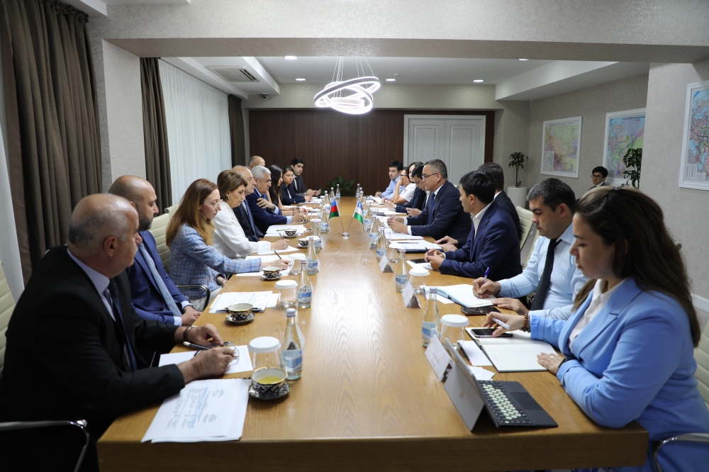 Azerbaijan, Uzbekistan discuss energy cooperation