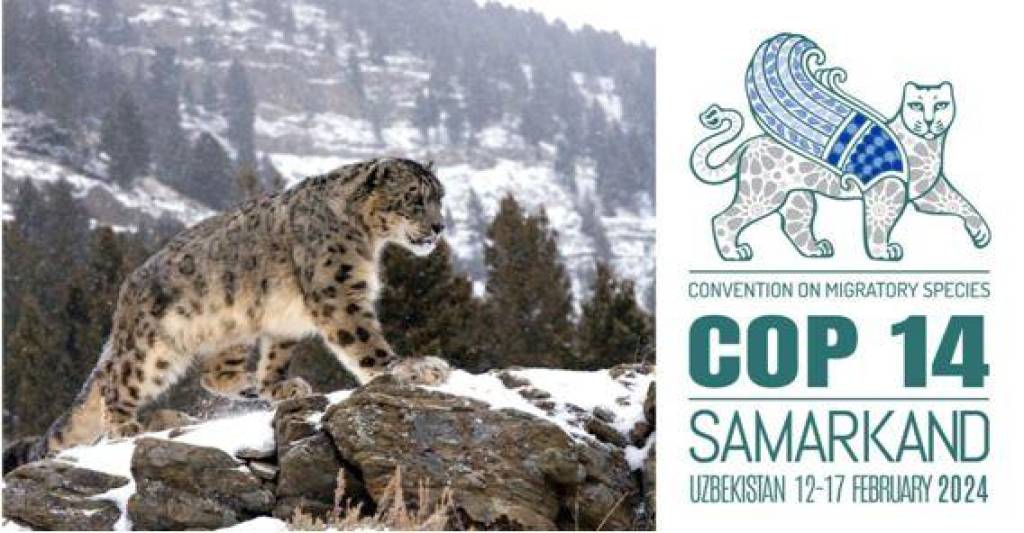 Samarkand to host CMS COP14 in February 2024