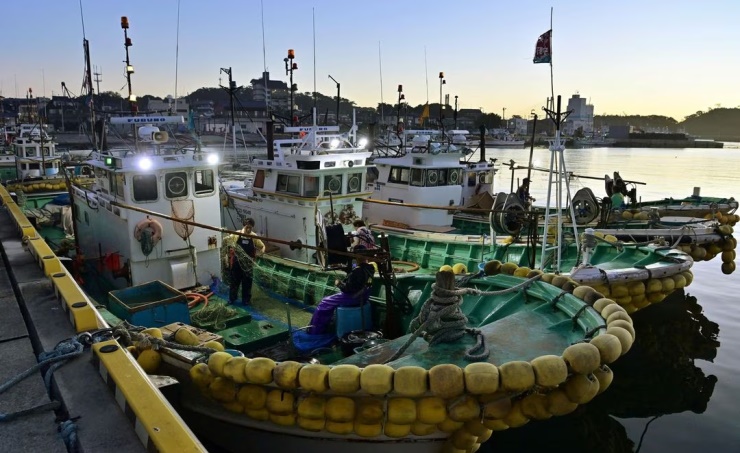 Japan says no radioactivity found in Fukushima fish