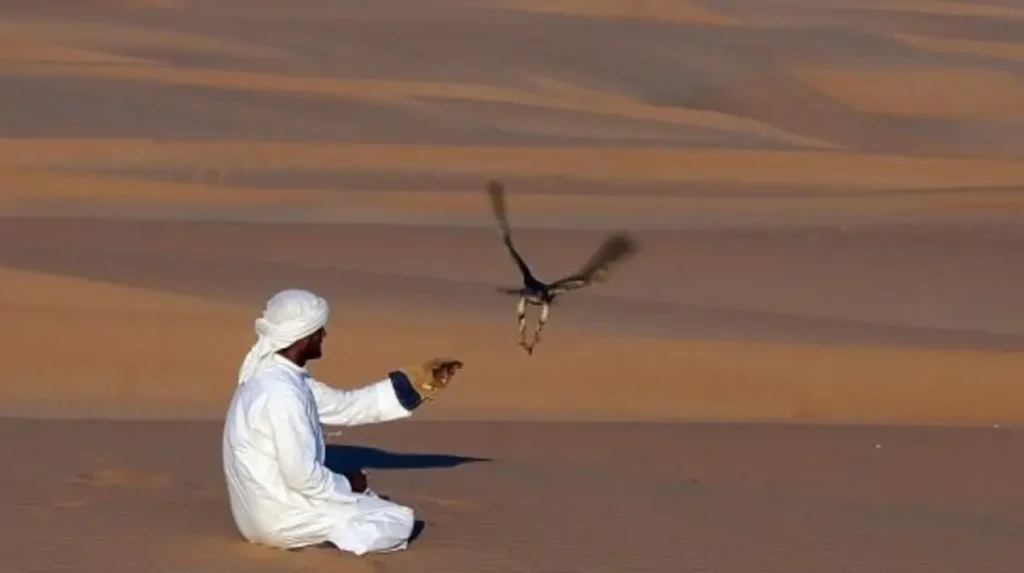 Saudi Arabia: Hunting season to begin from Sept. 1