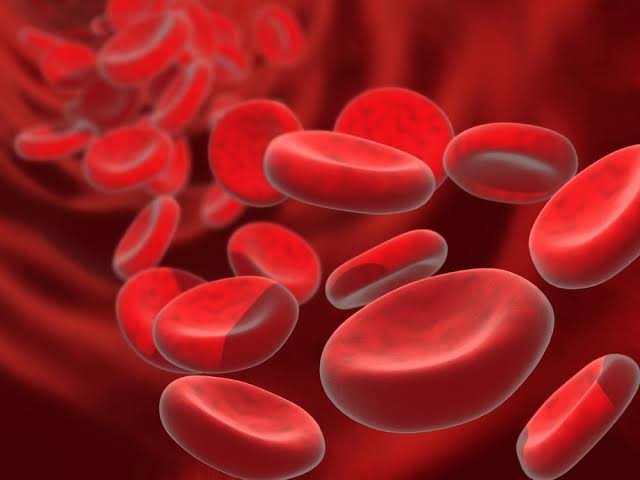 Anemia and Types