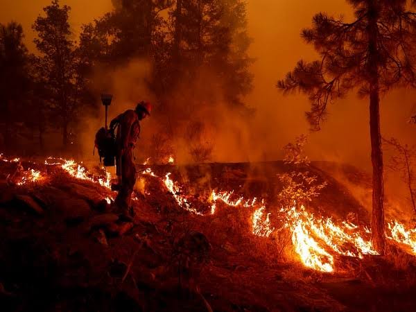 Greece discovers 18 charred bodies as southern Europe wildfires spread