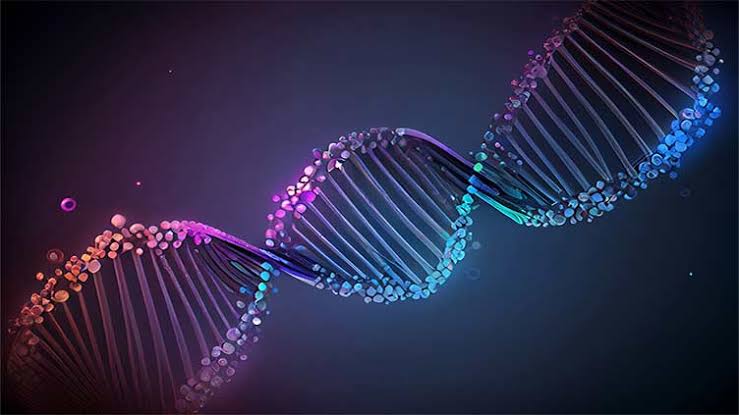 Genetic puzzle of Y chromosome is finally solved