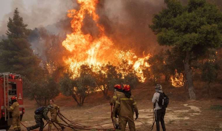 Wildfire in Greece's Evros region declared largest in 20 Years