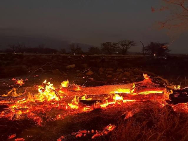 Biden pledges immediate help for Hawaii wildfires survivors