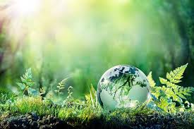 Indonesia has huge potential to reduce carbon emissions nationally, globally: OJK