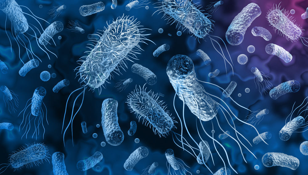 Fresh cholera outbreak in northern Zambia, 4 killed
