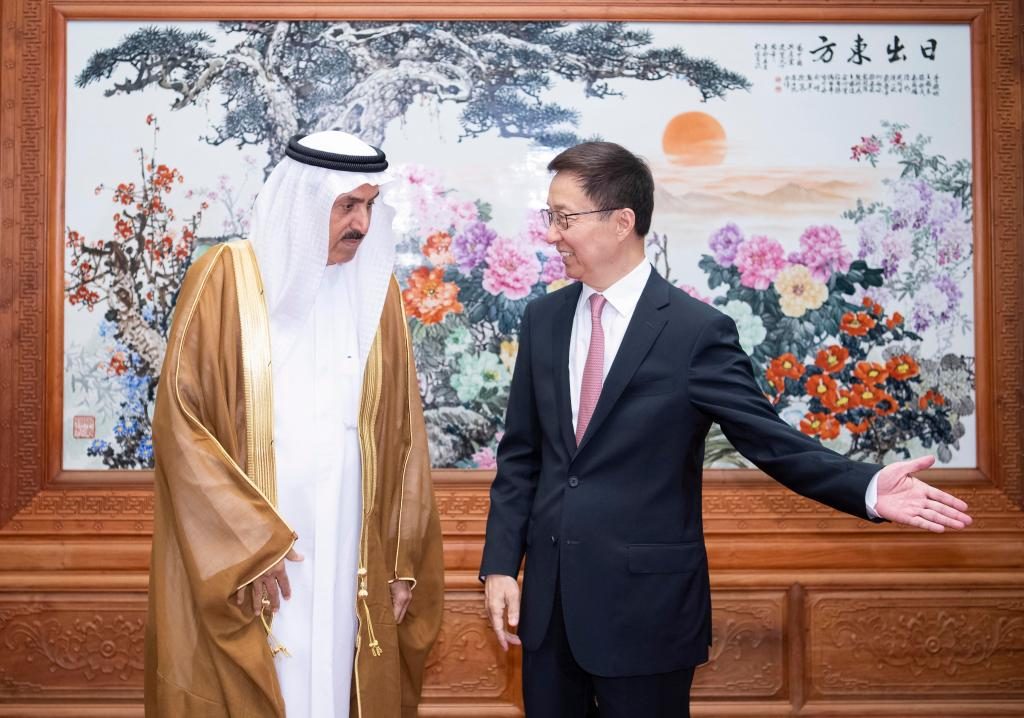 China willing to share development opportunities with UAE: Chinese VP
