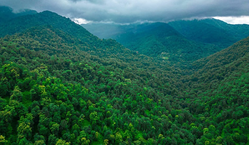 Azerbaijan's Hirkan Forests imprinted on UNESCO World Heritage List