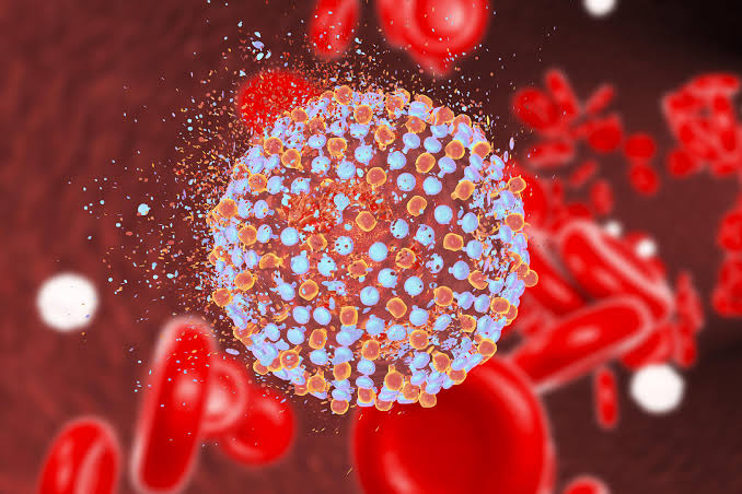 Egypt soon to receive certificate of being Hepatitis C free from WHO