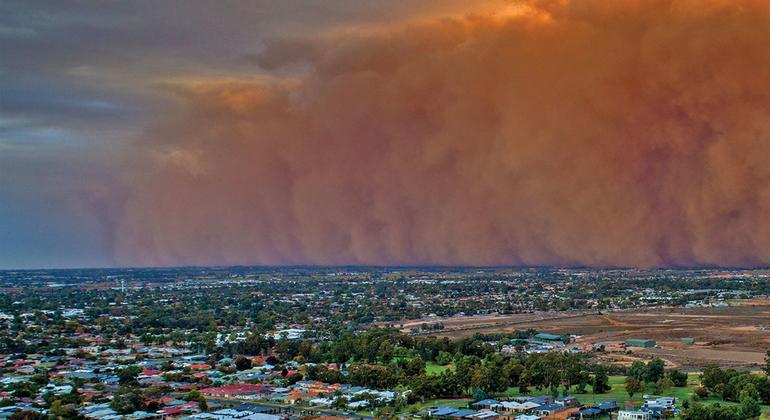 Iran to host International Conference on Combating Sand and Dust Storms