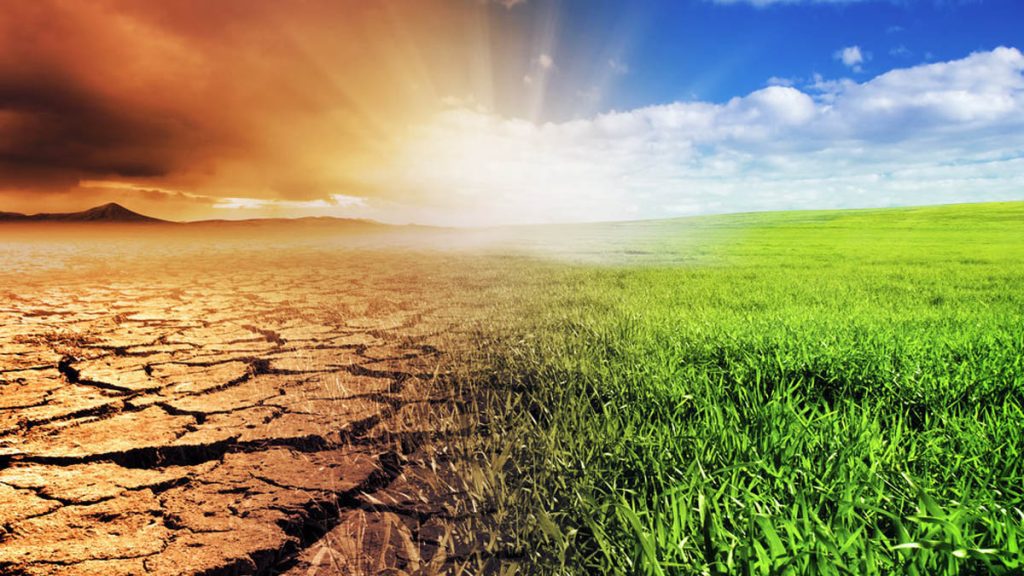 World officially entered the era of climate migration: IOM