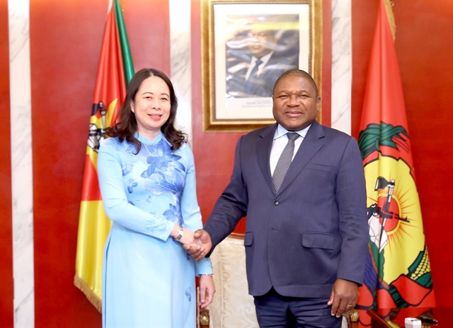 Vietnam ready to share its experience with Mozambique in aquaculture