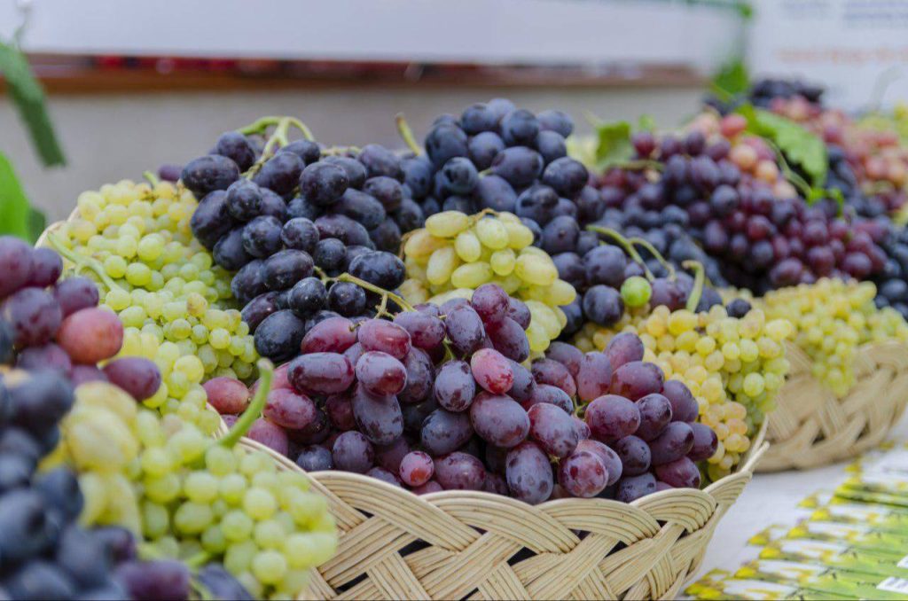 Tashkent region to host International Grape Festival
