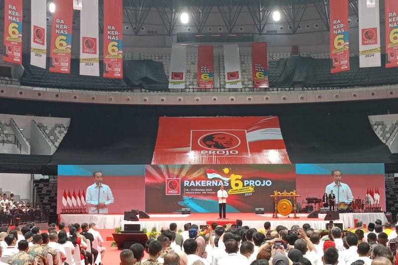 Israel-Palestine conflict worsens global crisis: Jokowi