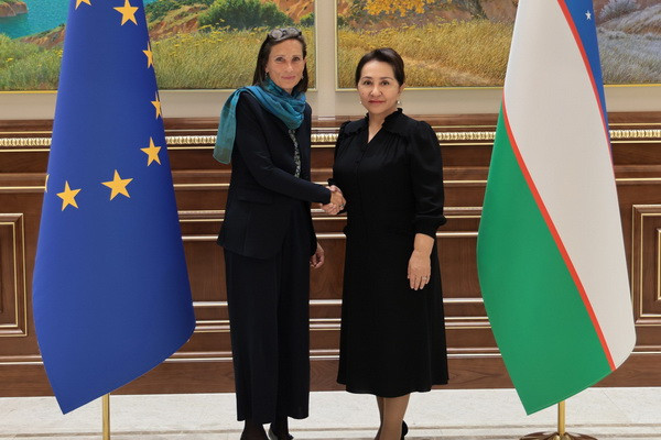 Uzbekistan, European Union discuss ways to strengthen inter-parliamentary ties