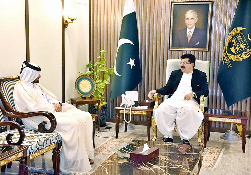 Chairman of Senate of Pakistan meets Qatar's Acting Charge d'Affaires