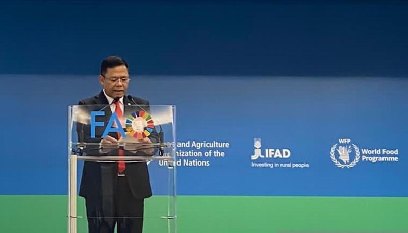 Indonesian President's Special Envoy outlines food issues at CFS