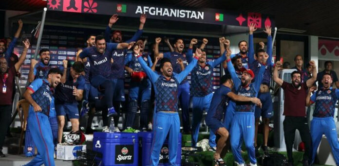 ICC World Cup 2023: Afghanistan beat Netherlands by 7 wickets