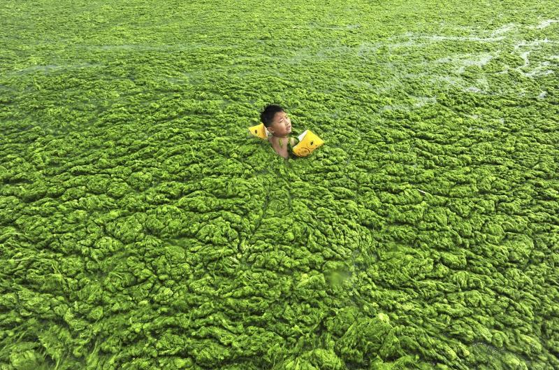China, US to launch working group on climate cooperation