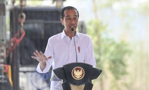 Jokowi invites entrepreneurs, investors to contribute in Nusantara development