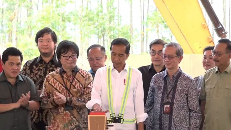 Jokowi calls on IKN Authority to prioritize domestic investors