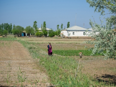 Agricultural