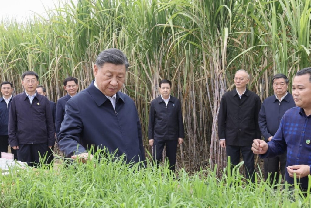 President Xi visits Guangxi