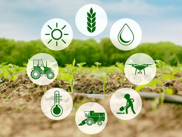 The prosperity of the agricultural sector in Uzbekistan