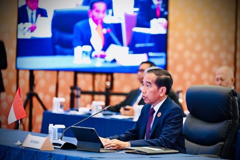 ASEAN-Japan partnership key to regional stability, peace: Jokowi